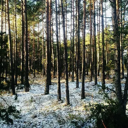 Kuivastujaani Tatil parkı *