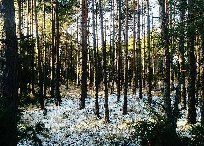 Kuivastujaani Kompleks wypoczynkowy *